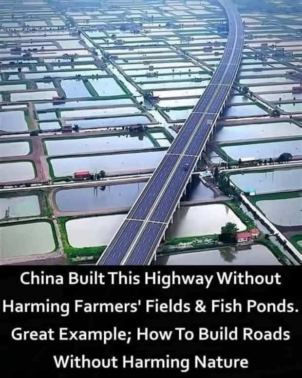 Cool and Interesting Facts #426 (22 photos)