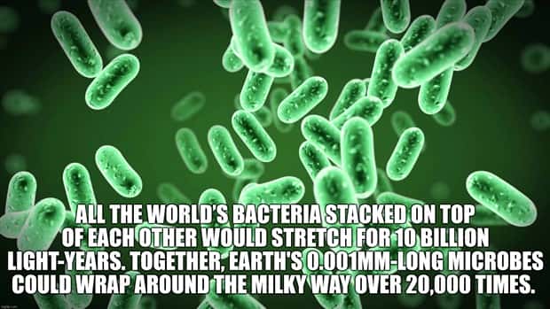 Cool and Interesting Facts #426 (22 photos)