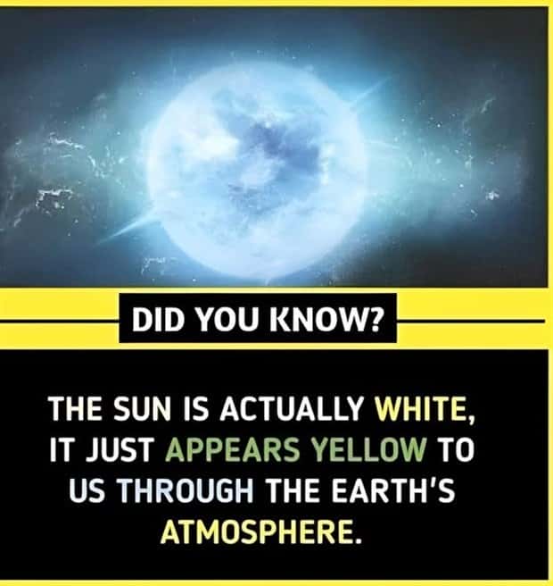 Cool and Interesting Facts #426 (22 photos)