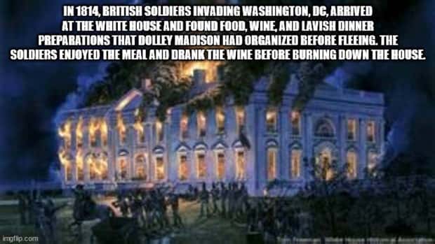 interesting facts 20 Cool and Interesting Facts #425 (25 photos)