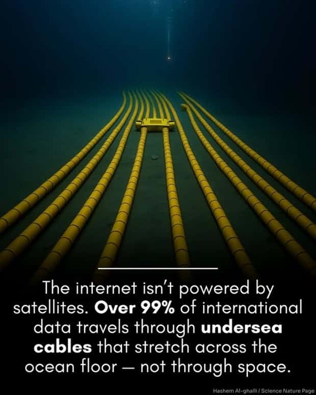Cool and Interesting Facts #426 (22 photos)