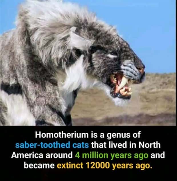interesting facts 3 Cool and Interesting Facts #425 (25 photos)