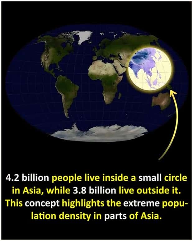interesting facts 5 Cool and Interesting Facts #425 (25 photos)