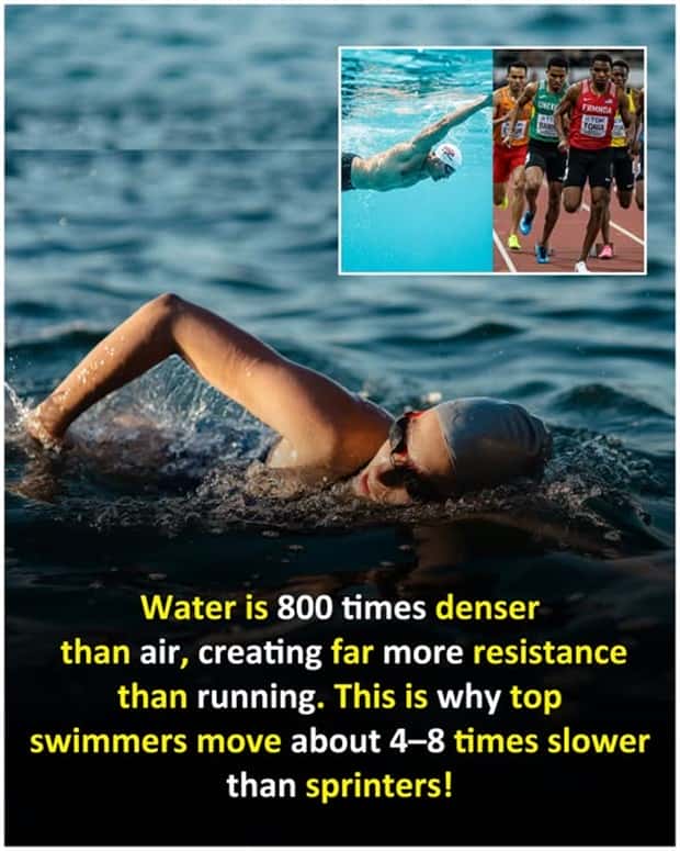 interesting facts 6 Cool and Interesting Facts #425 (25 photos)