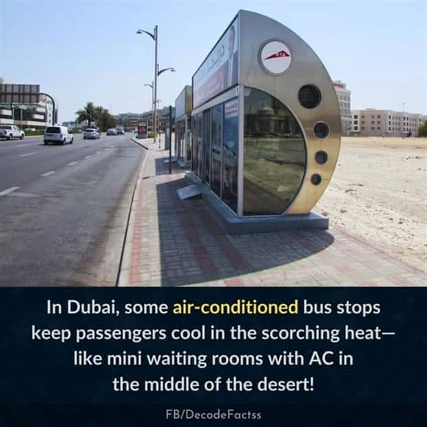 Cool and Interesting Facts #426 (22 photos)