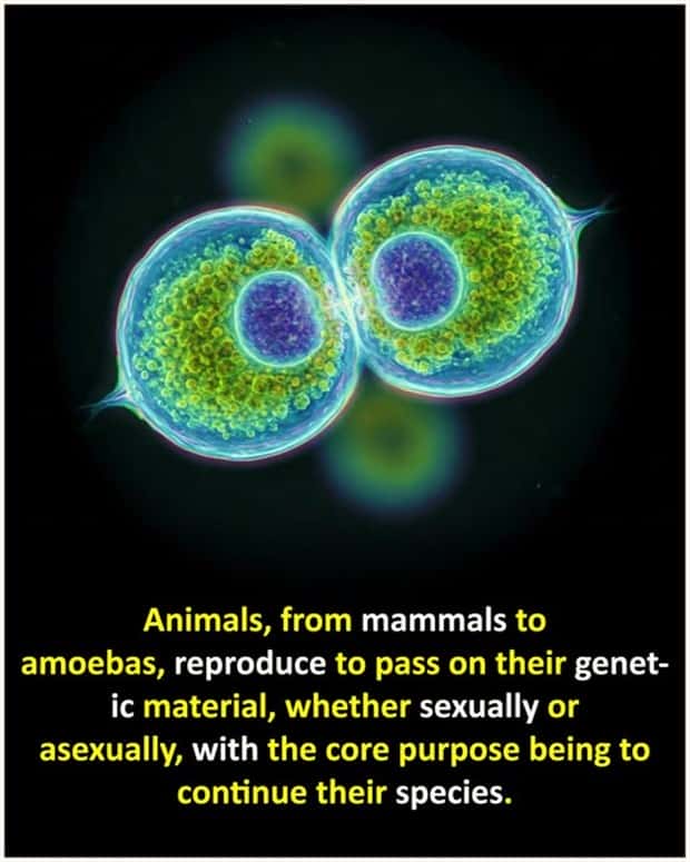 interesting facts 7 Cool and Interesting Facts #425 (25 photos)