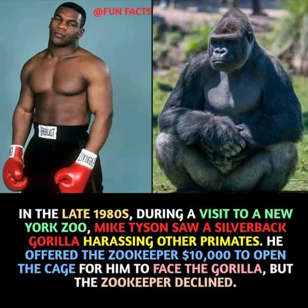 interesting facts 8 Cool and Interesting Facts #425 (25 photos)