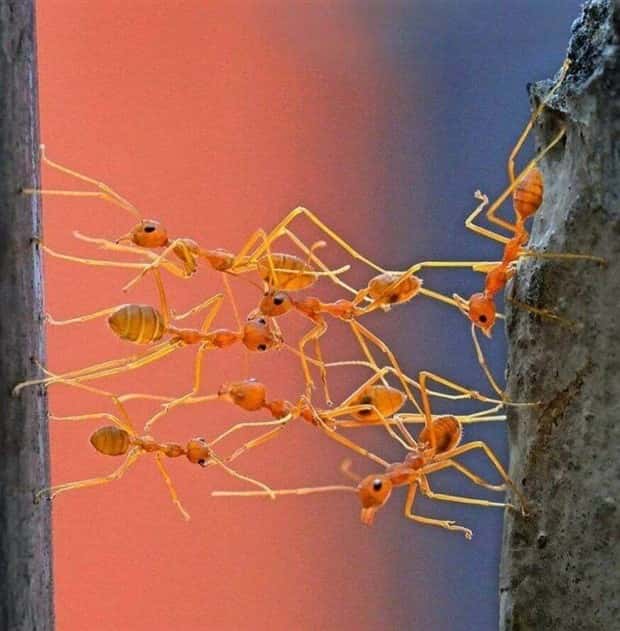 Klyker Picdump #1704 (44 photos)