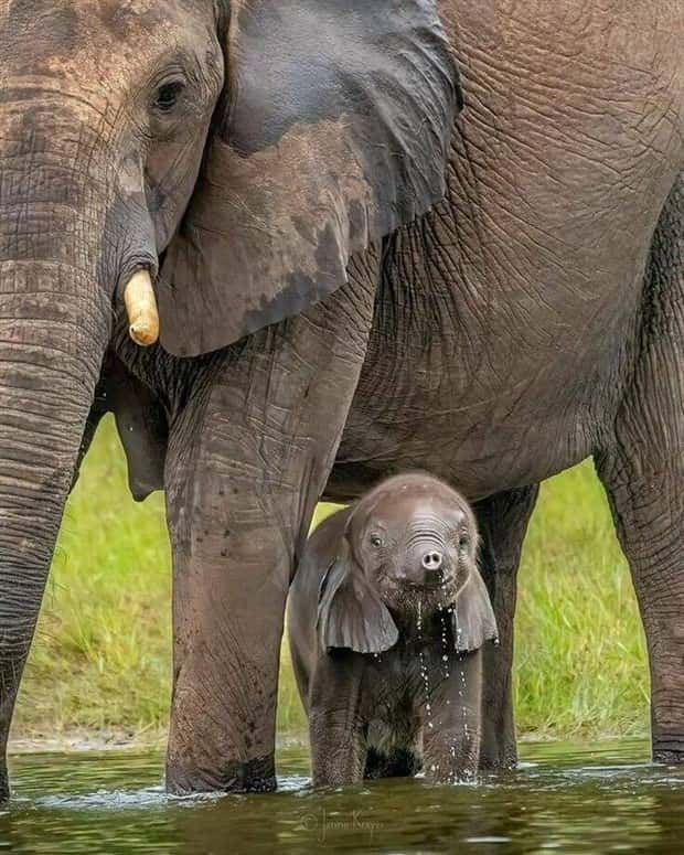 Klyker Picdump #1704 (44 photos)