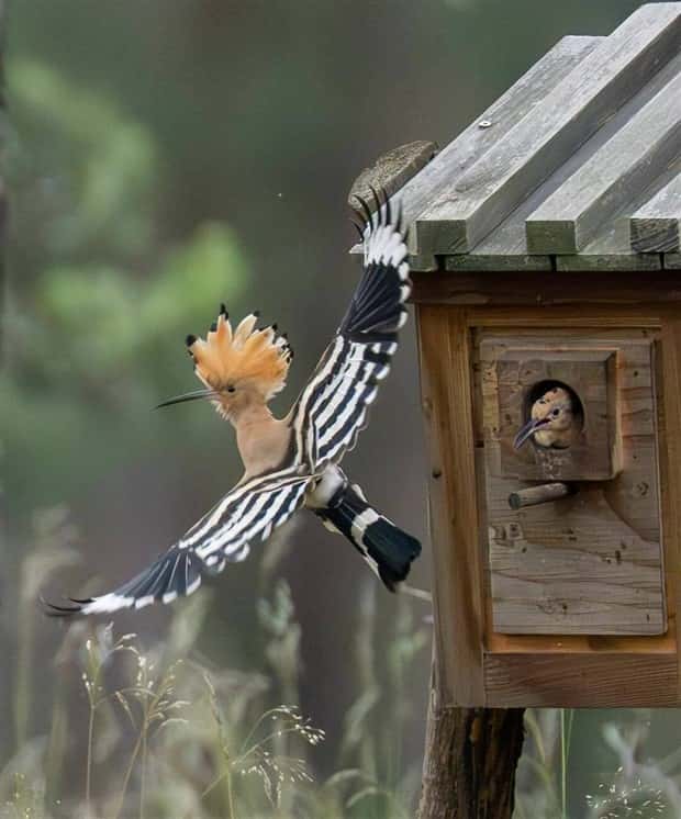 Klyker Picdump #1704 (44 photos)