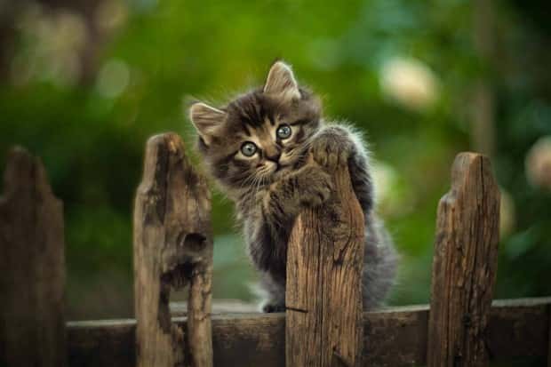 Klyker Picdump #1704 (44 photos)