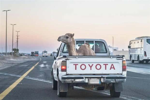 Klyker Picdump #1704 (44 photos)