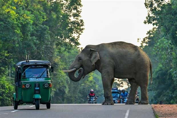 Klyker Picdump #1704 (44 photos)