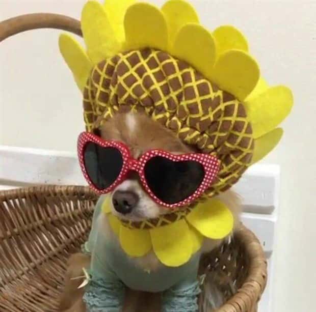 Klyker Picdump #1704 (44 photos)