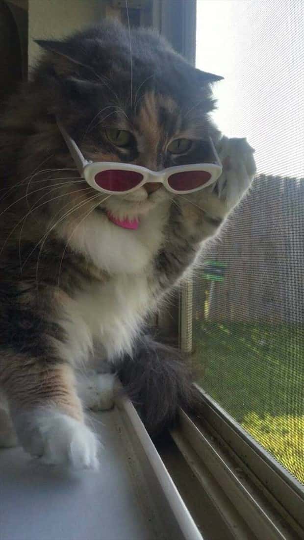 Klyker Picdump #1704 (44 photos)