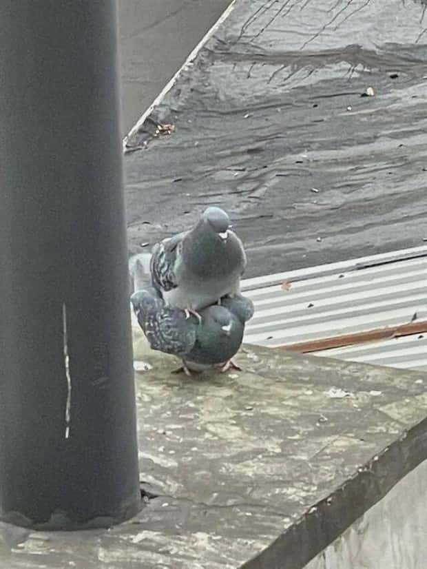 Klyker Picdump #1704 (44 photos)