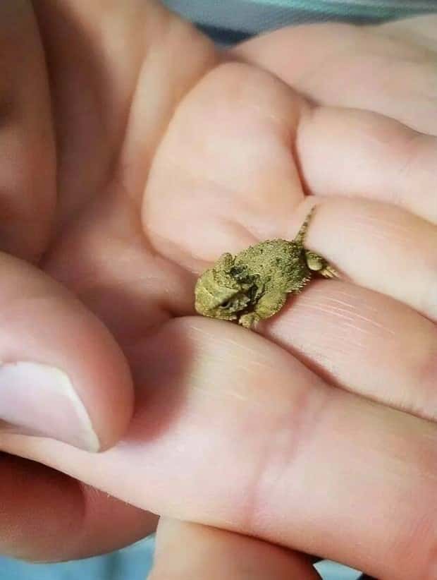 Klyker Picdump #1704 (44 photos)