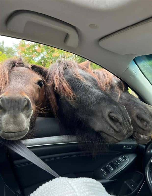 Klyker Picdump #1704 (44 photos)