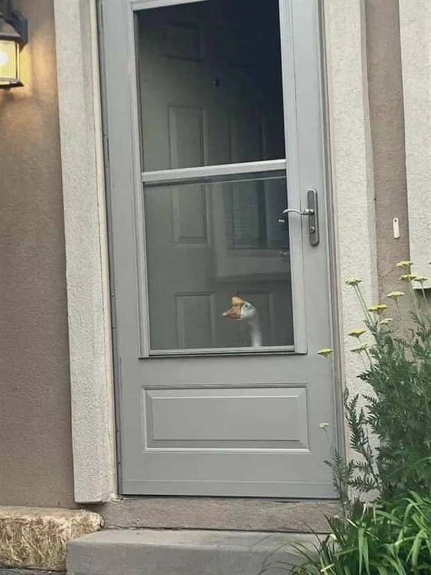 Klyker Picdump #1704 (44 photos)