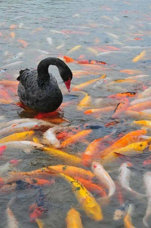 Klyker Picdump #1706 (41 photos)