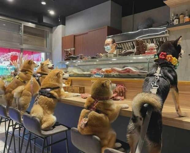 Klyker Picdump #1706 (41 photos)