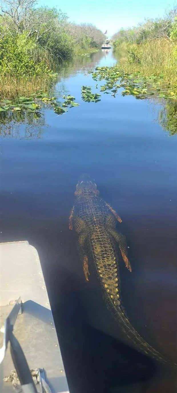 Klyker Picdump #1706 (41 photos)