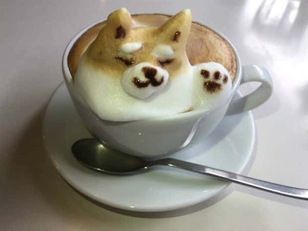 Klyker Picdump #1706 (41 photos)