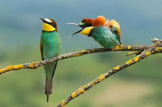 Klyker Picdump #1706 (41 photos)