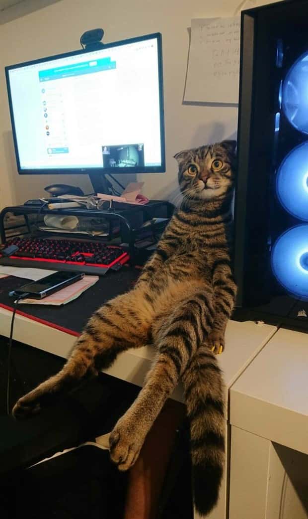 Klyker Picdump #1707 (42 photos)