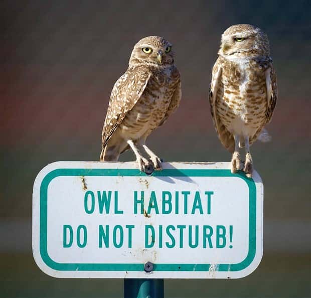 Klyker Picdump #1707 (42 photos)