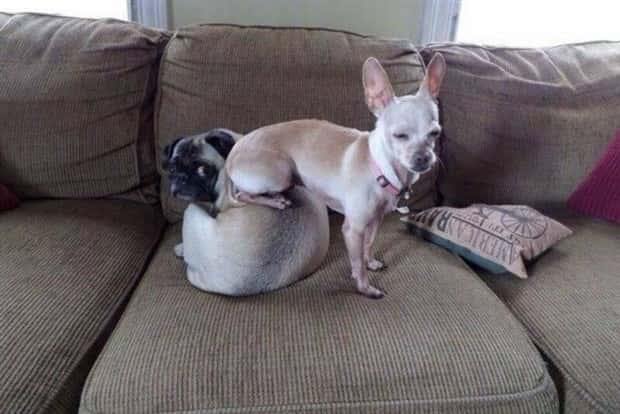 Klyker Picdump #1707 (42 photos)