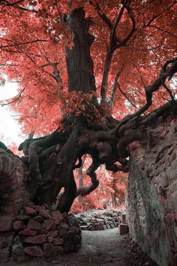 Klyker Picdump #1707 (42 photos)