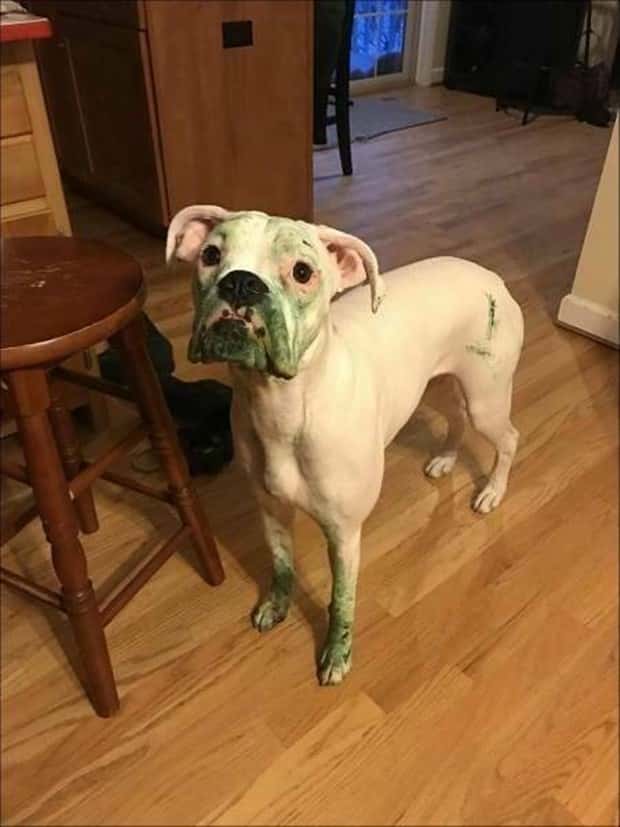 Klyker Picdump #1707 (42 photos)