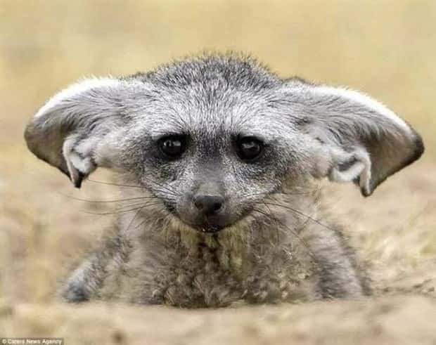 Klyker Picdump #1707 (42 photos)