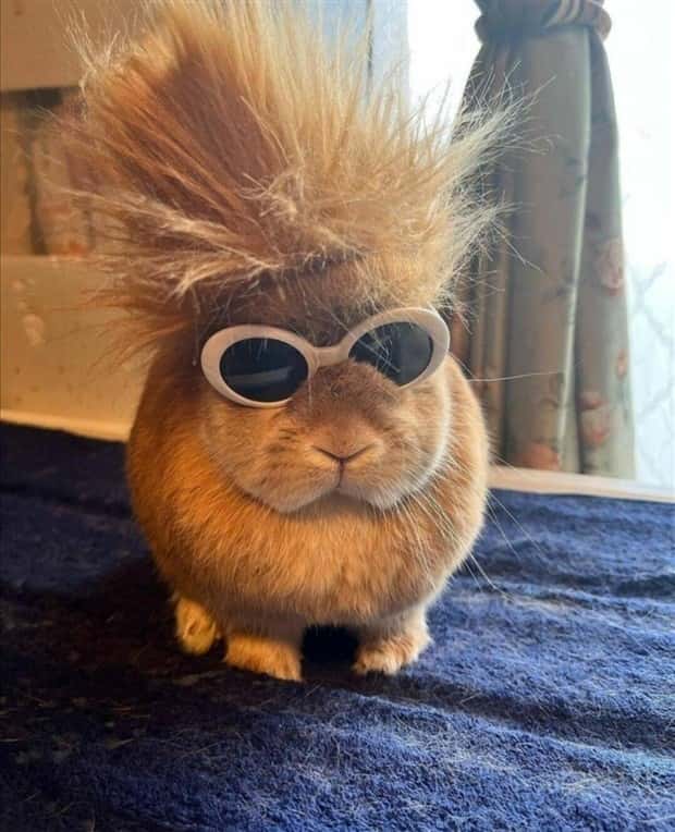 Klyker Picdump #1707 (42 photos)