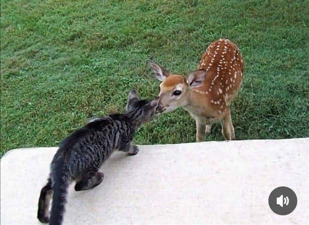 Klyker Picdump #1708 (43 photos)