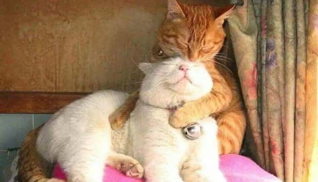 Klyker Picdump #1708 (43 photos)