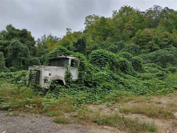 Klyker Picdump #1708 (43 photos)