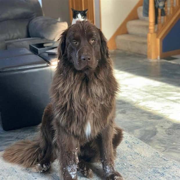 Klyker Picdump #1708 (43 photos)