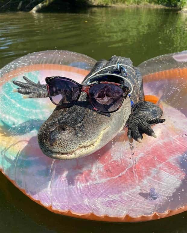 Klyker Picdump #1708 (43 photos)