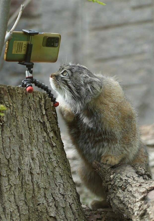 Klyker Picdump #1708 (43 photos)