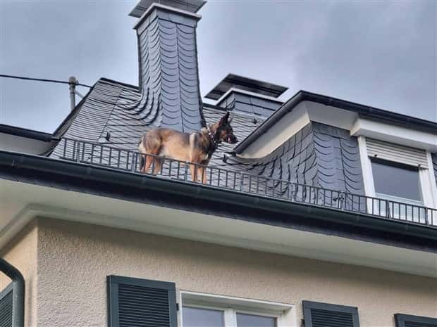 Klyker Picdump #1708 (43 photos)