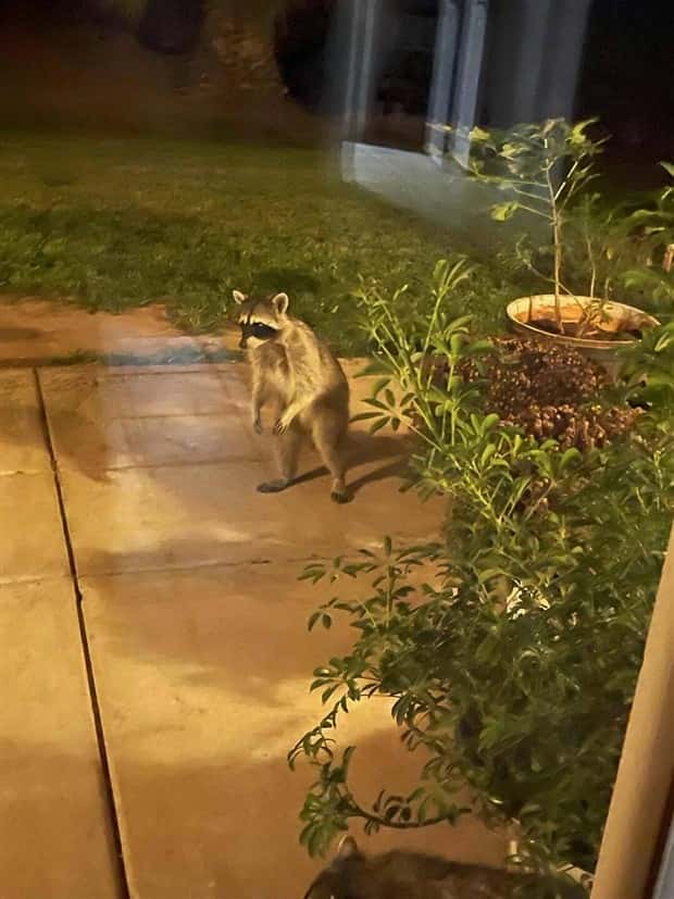 Klyker Picdump #1708 (43 photos)