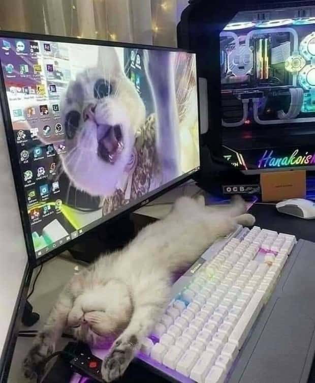 Klyker Picdump #1708 (43 photos)