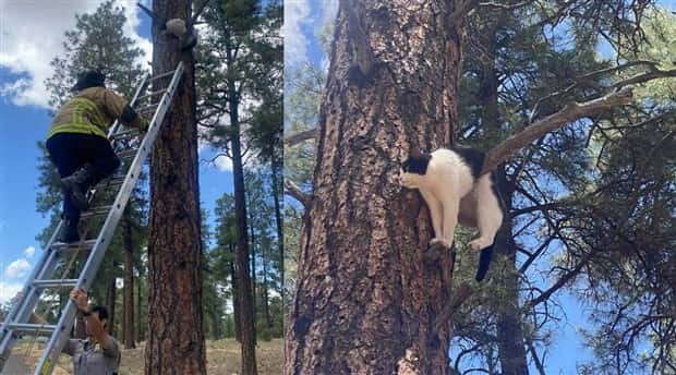 Klyker Picdump #1708 (43 photos)