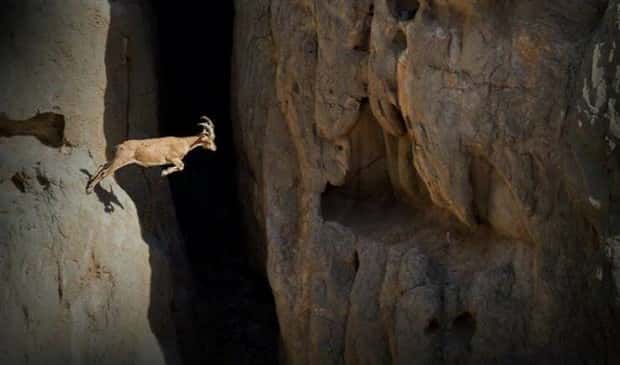 Klyker Picdump #1709 (44 photos)