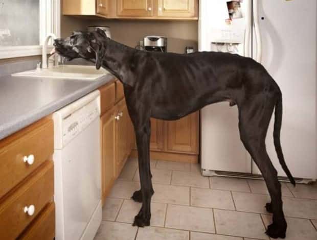 Klyker Picdump #1709 (44 photos)