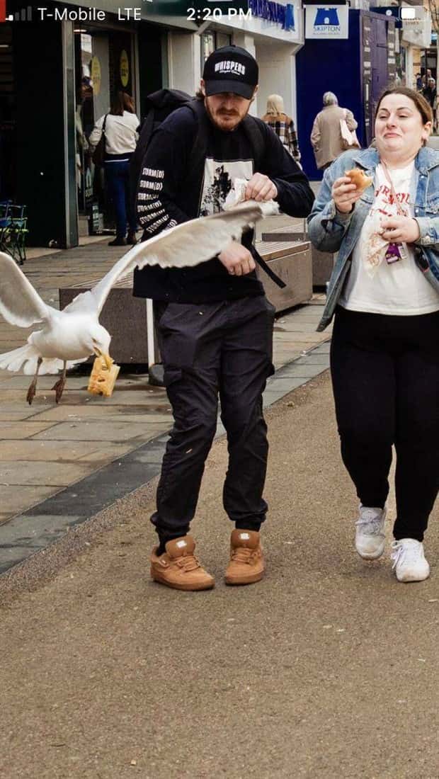 Klyker Picdump #1709 (44 photos)