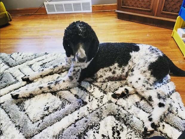 Klyker Picdump #1709 (44 photos)