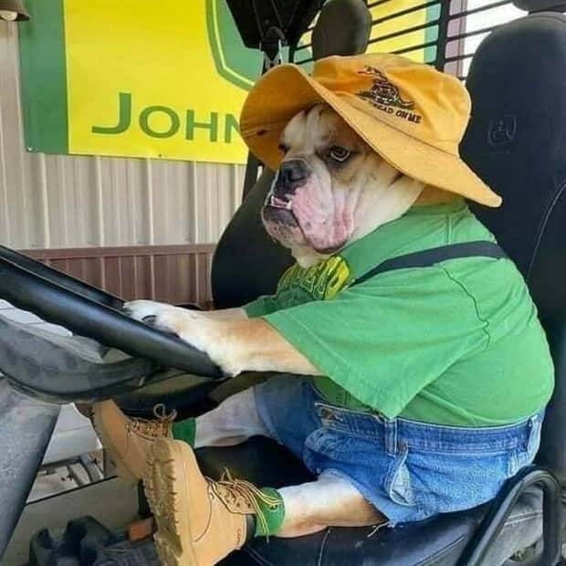 Klyker Picdump #1709 (44 photos)